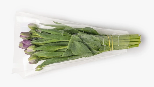 Тюльпаны букет, 15 шт