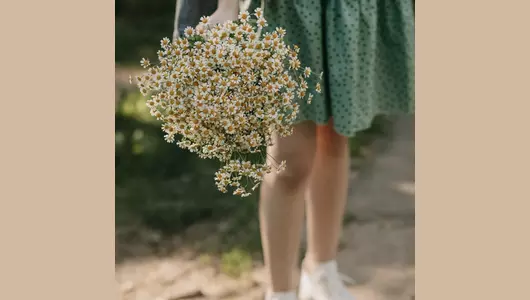 Букет из&nbsp;ромашек