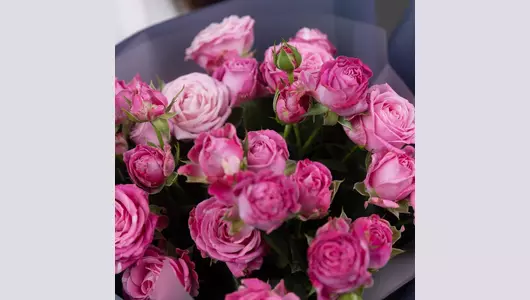 Букет из&nbsp;пионовидных кустовых роз