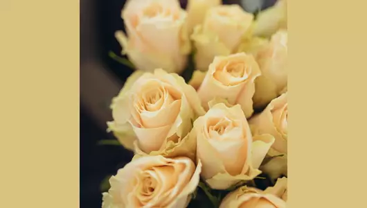 Букет из&nbsp;роз Шарман 21 шт (50см)