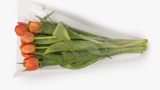 Тюльпаны букет, 15 шт