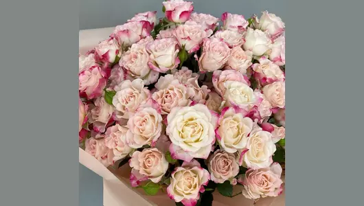 Букет из&nbsp;15 кустовых роз в&nbsp;нежной упаковке FMART by flowwow