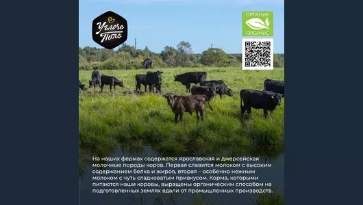 Молоко цельное 3,5% -5,2% Углече Поле Органик 1 л