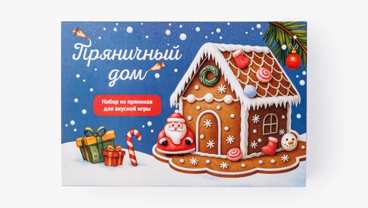 Набор из пряников (зимний дом)