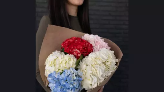 Букет из&nbsp;7 гортензий микс