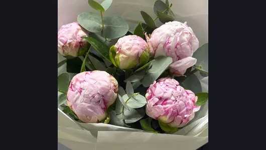 Пионы и&nbsp;эвкалипт в&nbsp;букете «Сара Бернар» FMART by flowwow