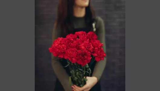 Гвоздика красная