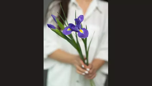 Ирис голландский  5шт.