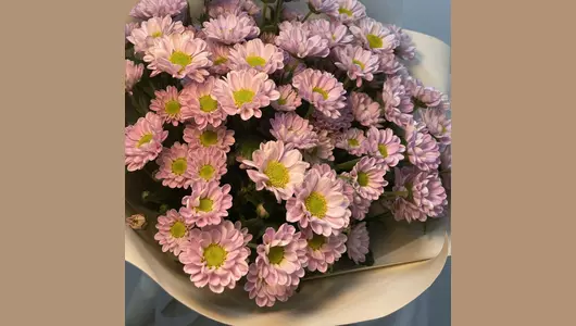 Нежный букет розовых сантини "Милая" FMART by flowwow