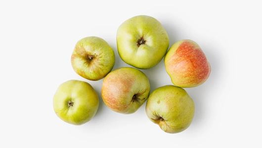 Яблоко Богатырь