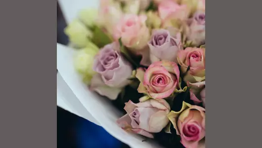 Букет из&nbsp;51 розы микс