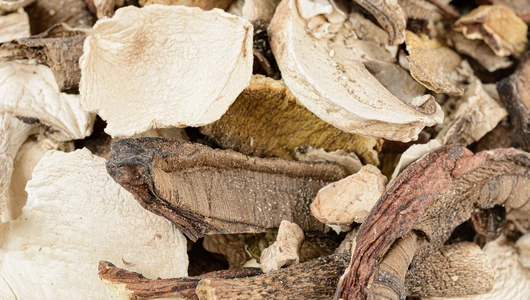 Смесь сушеных грибов (шампиньоны, подосиновики, белые)