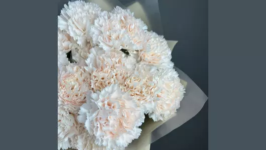 Моно кремовые гвоздики (15шт) FMART by flowwow