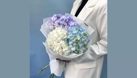 Букет моно из&nbsp;Гортензии FMART by flowwow