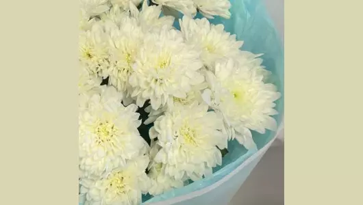 Монобукет из&nbsp;белой кустовой хризантемы балтика FMART by flowwow