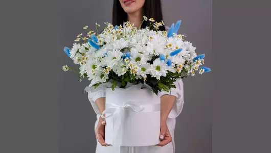 Солнечный луг в шляпной коробке