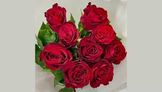 Букет красных роз 9 штук FMART by flowwow