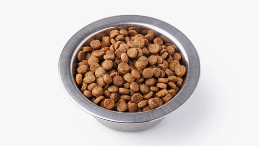 Корм сухой для котят с индейкой