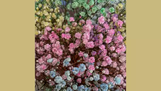 Букет из&nbsp;радужной гипсофилы FMART by flowwow