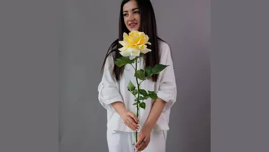 Французская кремовая Роза Кендилайт  5шт. (70см)