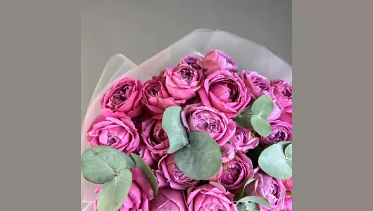 Мисти Баблс (15 шт) FMART by flowwow