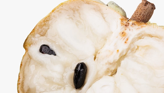 Черимойя Черимойя