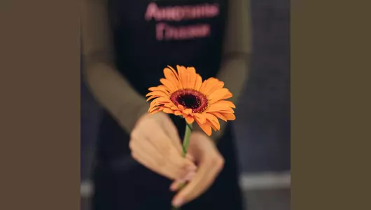 Яркая оранжевая гербера  5шт. (60см)