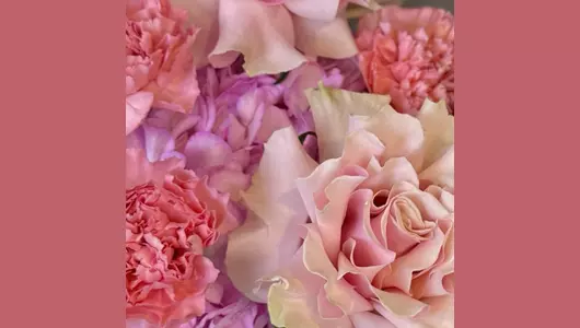 Нежный поцелуй (S) FMART by flowwow