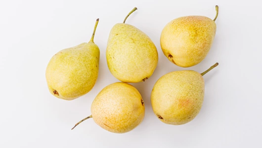 Груша Ферганская Груша Ферганская