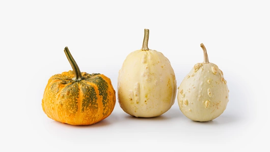 Тыква декоративная в ассортименте, 3 шт