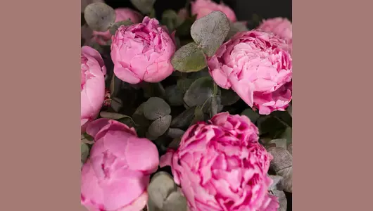 Шляпная Коробка: монобукет из&nbsp;пионов