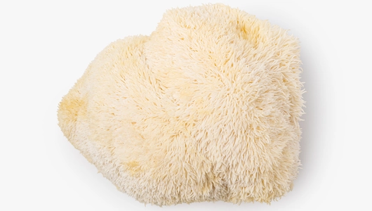 Грибы Ежовики, 125г