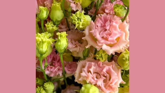 Букет «Абрикос» из&nbsp;эустомы FMART by flowwow