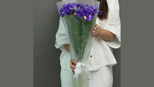 Ирисы Гонк Конг: 19 штук - глубокий синий цвет