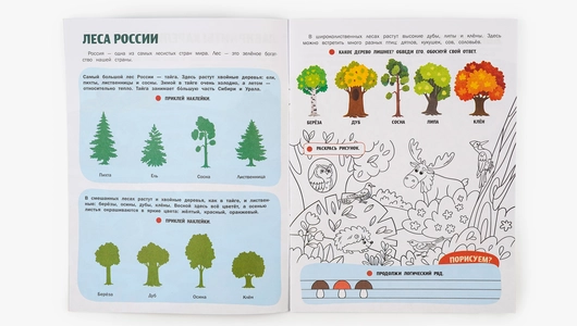 Книжка с&nbsp;наклейками "Природа России"