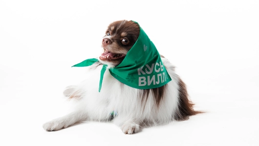 Бандана для собак (зеленая) со светоотражающими элементами