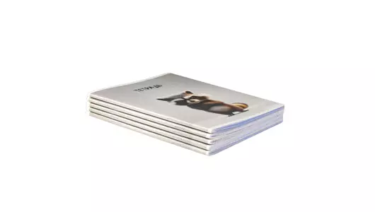 Тетрадь общая Феникс+ Сердитые звери A5 48 листов в клетку на скрепке (в ассортименте) Тетрадь общая Феникс+ Сердитые звери A5 48 листов в клетку на скрепке (в ассортименте)