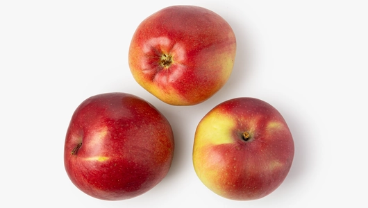 Яблоко деревенское