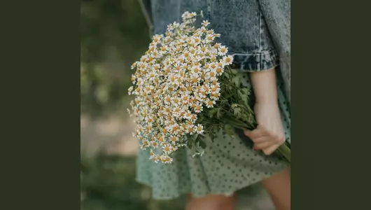 Букет из ромашек