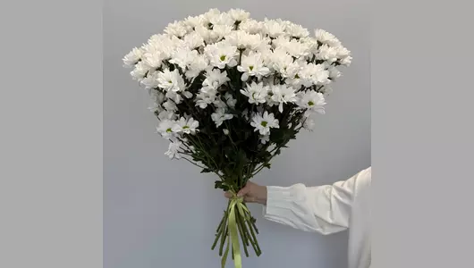 Монобукет из&nbsp;белой кустовой хризантемы под&nbsp;ленту FMART by flowwow