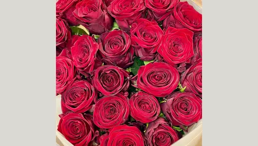 Букет Вечная классика 25 красных роз FMART by flowwow