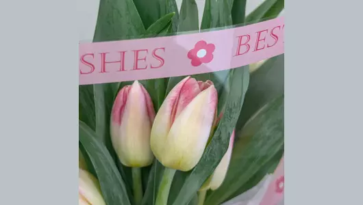 Букетик 11 розовых тюльпанов FMART by flowwow