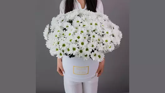 Тёплый букет XL из 21 кустовой хризантемы в шляпной коробке