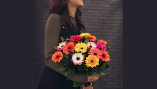 Яркий букет из&nbsp;15 гербер: праздник красок и&nbsp;радости