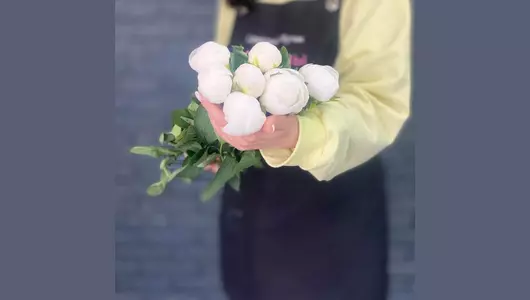 Пион Мадам Клауд 5шт.