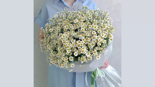 Букет Ромашки FMART by flowwow