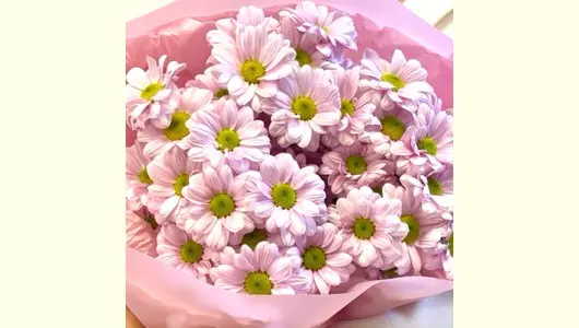 Розово сиреневая хризантема в&nbsp;букете FMART by flowwow