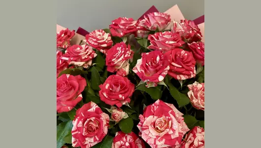 Букет комплимент из&nbsp;кустовой розы FMART by flowwow