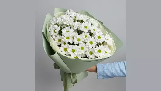 Хризантема кустовая в&nbsp;букете "Бакарди" FMART by flowwow