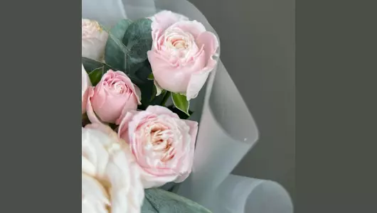 Пионовидная кустовая Роза (7шт) FMART by flowwow